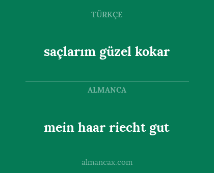 mein haar riecht gut - saçlarım güzel kokar