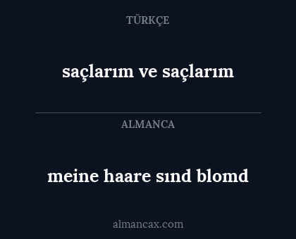saçlarım ve saçlarım - meine haare sınd blomd