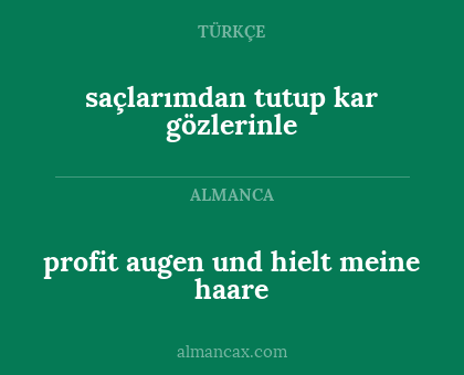 profit augen und hielt meine haare - saçlarımdan tutup kar gözlerinle