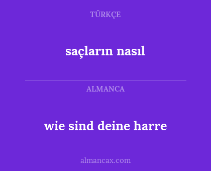 saçların nasıl - wie sind deine harre