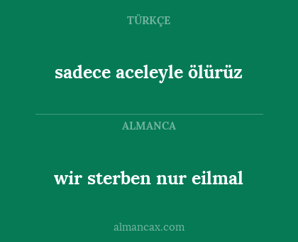 wir sterben nur eilmal - sadece aceleyle ölürüz