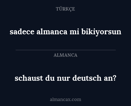 sadece almanca mi bikiyorsun - schaust du nur deutsch an?
