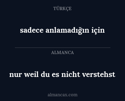 nur weil du es nicht verstehst - sadece anlamadığın için