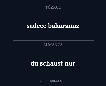 sadece bakarsınız - du schaust nur