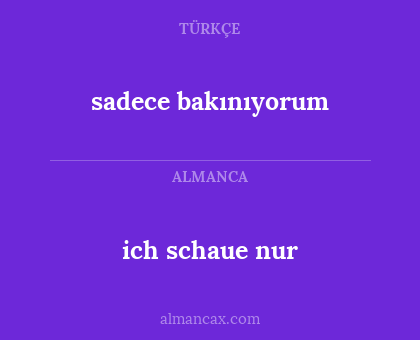 sadece bakınıyorum - ich schaue nur