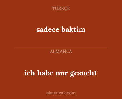 sadece baktim - ich habe nur gesucht
