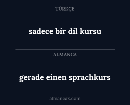 sadece bir dil kursu - gerade einen sprachkurs