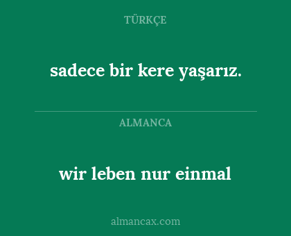 wir leben nur einmal - sadece bir kere yaşarız.