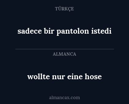 sadece bir pantolon istedi - wollte nur eine hose