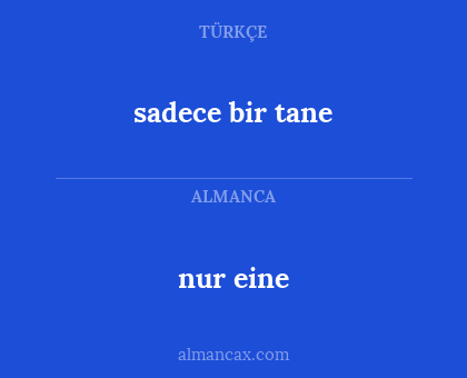 nur eine - sadece bir tane