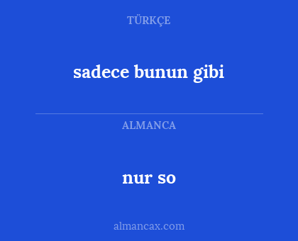 nur so - sadece bunun gibi