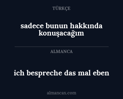 sadece bunun hakkında konuşacağım - ich bespreche das mal eben