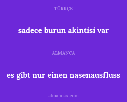 sadece burun akintisi var - es gibt nur einen nasenausfluss