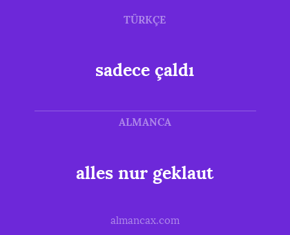 alles nur geklaut - sadece çaldı
