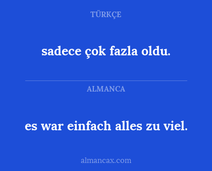 sadece çok fazla oldu. - es war einfach alles zu viel.