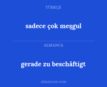 gerade zu beschäftigt - sadece çok meşgul