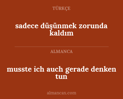 musste ich auch gerade denken tun - sadece düşünmek zorunda kaldım