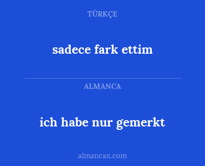 sadece fark ettim - ich habe nur gemerkt