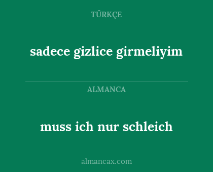 sadece gizlice girmeliyim - muss ich nur schleich