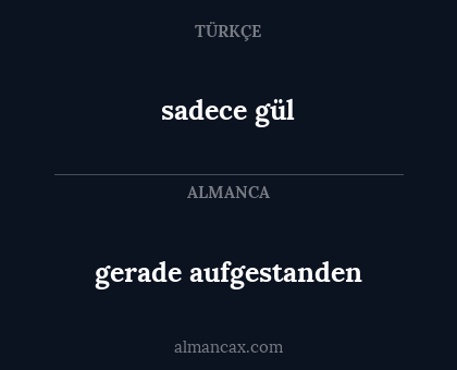 gerade aufgestanden - sadece gül