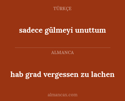hab grad vergessen zu lachen - sadece gülmeyi unuttum