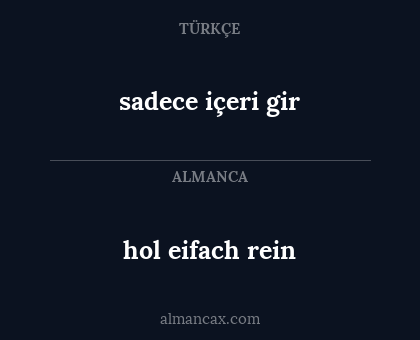 hol eifach rein - sadece içeri gir