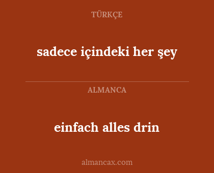 sadece içindeki her şey - einfach alles drin
