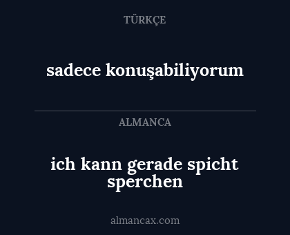sadece konuşabiliyorum - ich kann gerade spicht sperchen