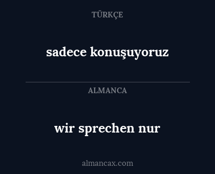 sadece konuşuyoruz - wir sprechen nur