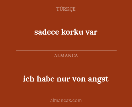 ich habe nur von angst - sadece korku var