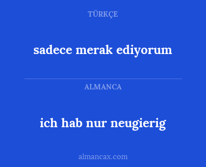 sadece merak ediyorum - ich hab nur neugierig