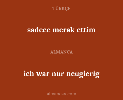 ich war nur neugierig - sadece merak ettim