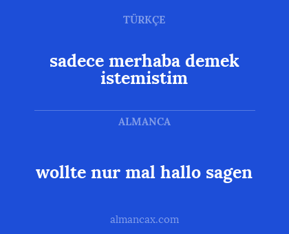 wollte nur mal hallo sagen - sadece merhaba demek istemistim