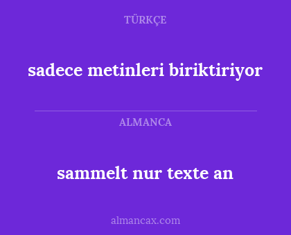 sadece metinleri biriktiriyor - sammelt nur texte an
