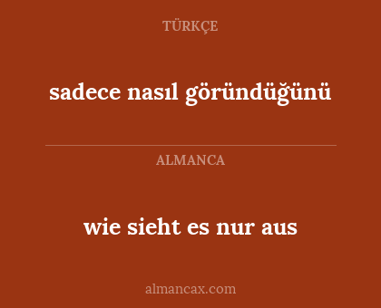 sadece nasıl göründüğünü - wie sieht es nur aus