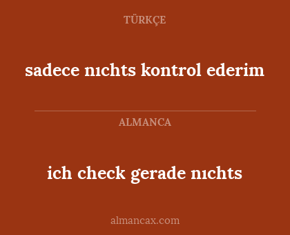 sadece nıchts kontrol ederim - ich check gerade nıchts