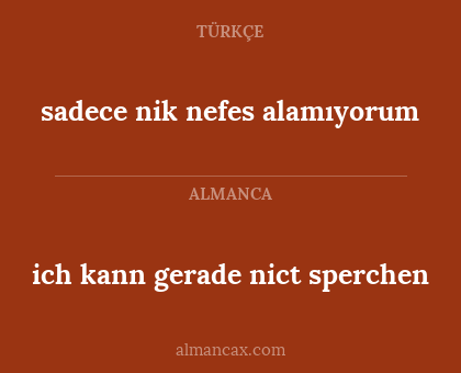 sadece nik nefes alamıyorum - ich kann gerade nict sperchen