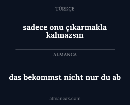 sadece onu çıkarmakla kalmazsın - das bekommst nicht nur du ab