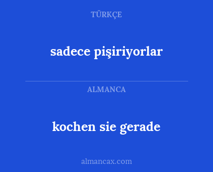 kochen sie gerade - sadece pişiriyorlar