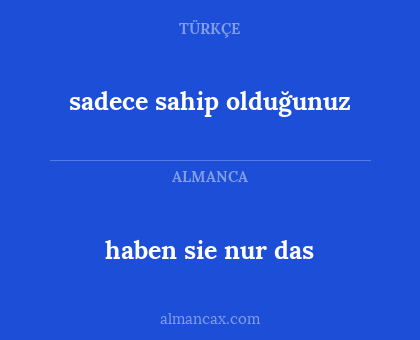 sadece sahip olduğunuz - haben sie nur das