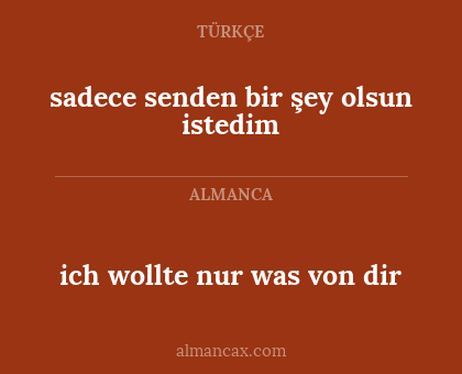 sadece senden bir şey olsun istedim - ich wollte nur was von dir