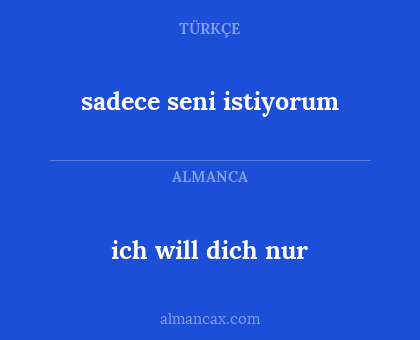 ich will dich nur - sadece seni istiyorum