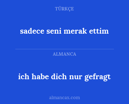 sadece seni merak ettim - ich habe dich nur gefragt