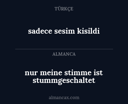 sadece sesim kisildi - nur meine stimme ist stummgeschaltet