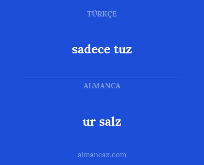 sadece tuz - ur salz