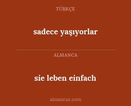 sie leben einfach - sadece yaşıyorlar