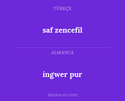 ingwer pur - saf zencefil