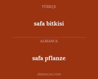 safa bitkisi - safa pflanze