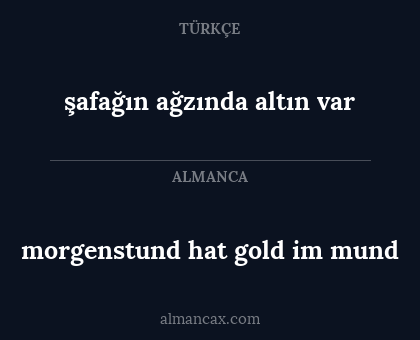 morgenstund hat gold im mund - şafağın ağzında altın var
