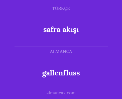 safra akışı - gallenfluss